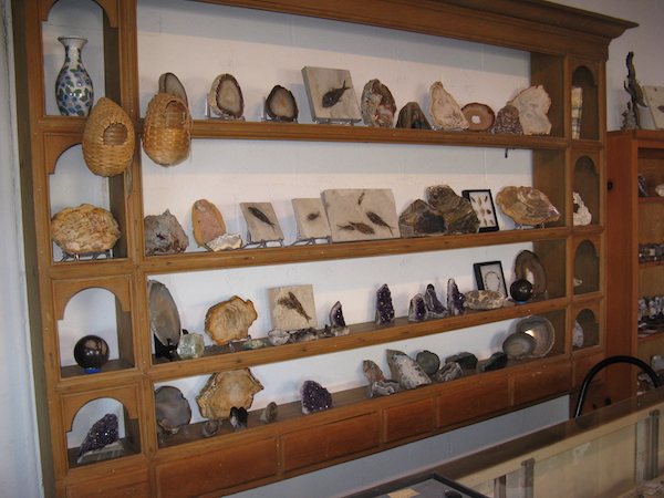 fossil-display
